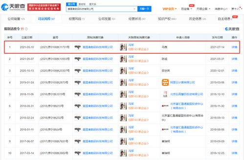 愛國者公司被限制高消費，計算機軟硬件業務面臨挑戰